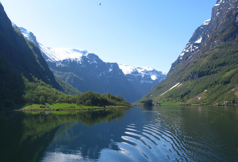 Fjords (26).jpg